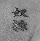 Cherry Gets a Tattoo